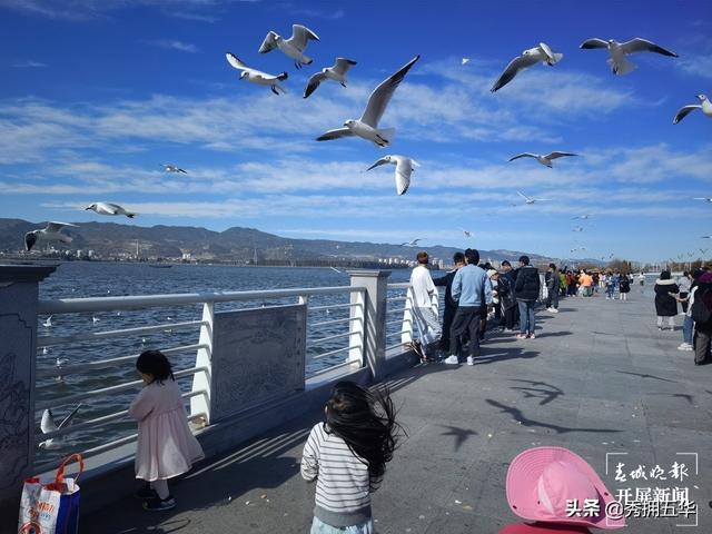 昆明地铁5号线线路图，5号线来了快上车（地铁线路图昆明5号线）