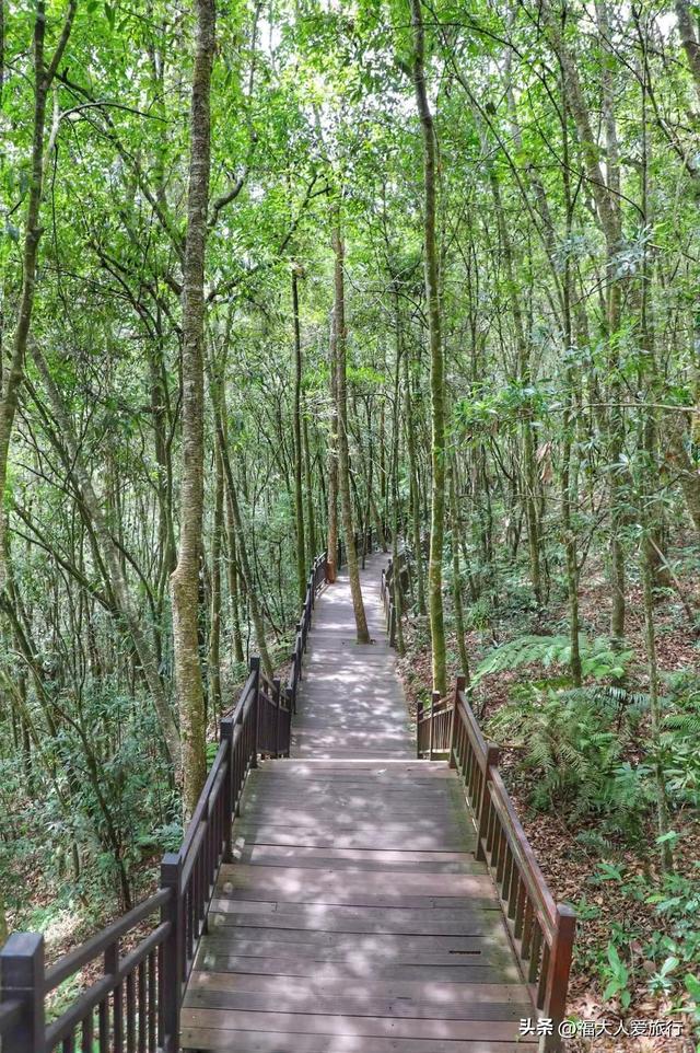 普洱到西双版纳，西双版纳普洱旅游攻略