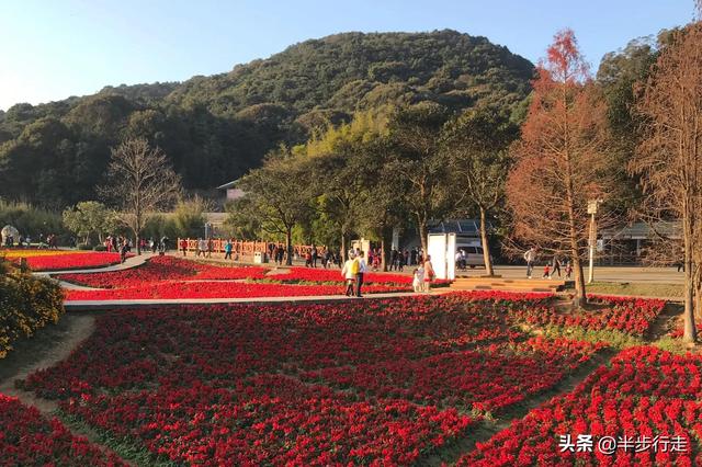 广州石门公园景点，赏红叶首选，当属从化石门