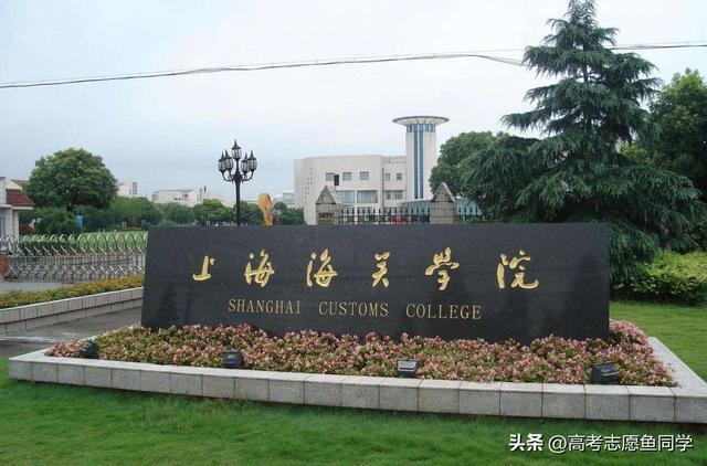 上海的财经学院排名，2023上海市大学排名