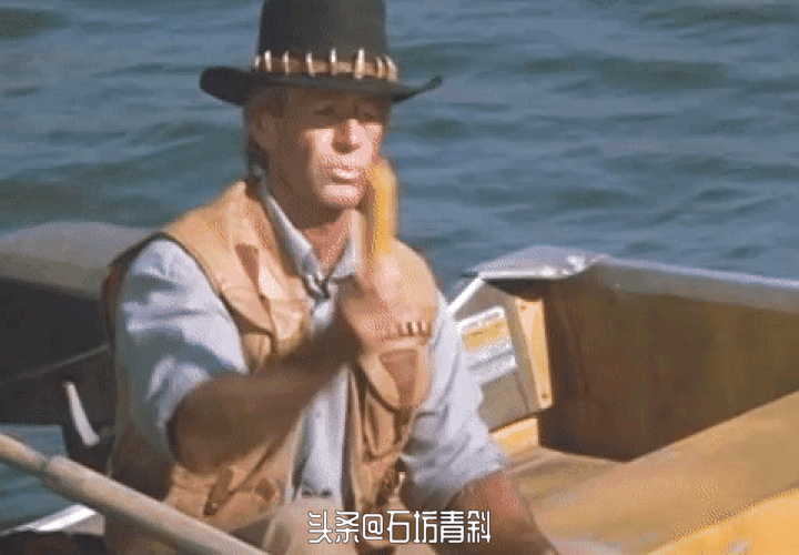 鳄鱼邓迪47岁成名，51岁邓迪（《鳄鱼邓迪》如果想表达的东西重要但枯燥）