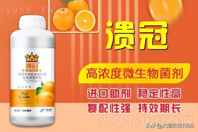 柑橘溃疡病的识别与防控，柑橘溃疡病识别及综合防控技术