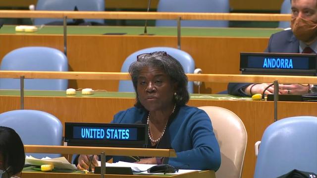 联合国一票否决权，联合国不能用一票否决权吗（该国提交议案直接被否决）