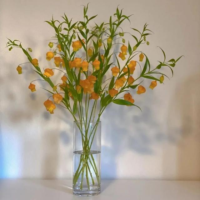 超好看的背景图，那些超好看的背景图