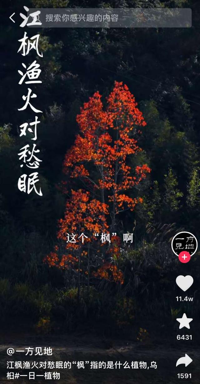 狐主任抖音号，除了狐主任
