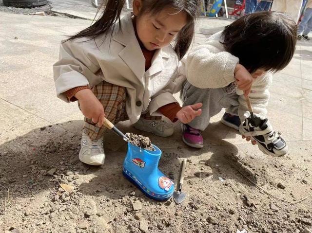 幼儿园自然角在线研讨，小小自然角春意盎然中