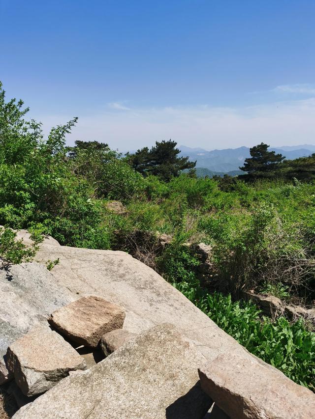 大王叫我来巡山舞蹈，大王叫我来巡山