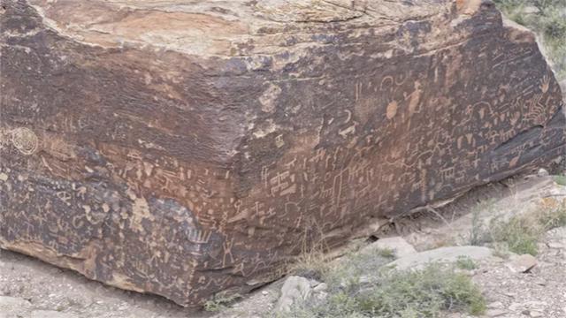 唯一灭绝的植物，10种历史悠久的植物及其灭绝的原因