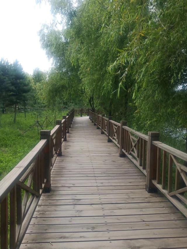 关于人生记忆的散文，散文有一种回忆