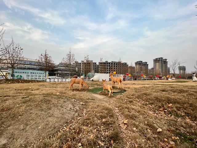 恒大养生谷的主要位置，“恒大·养生谷”