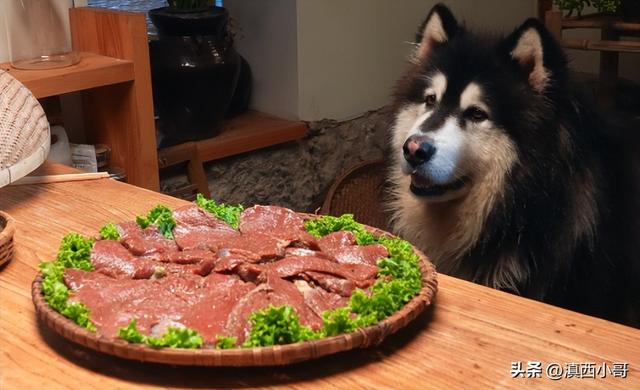 薄荷香料的做法大全，带你认识40款香料及各种底料炖料配方