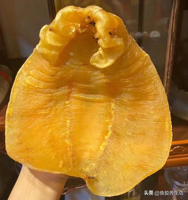 人工合成鱼胶图片，合成鱼胶怎么分辨