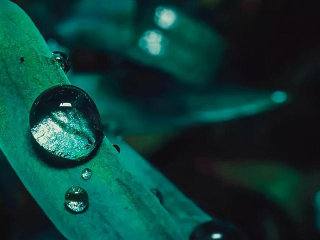 双子座有几大特点，“双子座”有哪些秘密