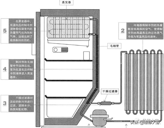 电冰箱制冷原理，家用电冰箱制冷原理（关于冰箱，你想知道的都在这了）