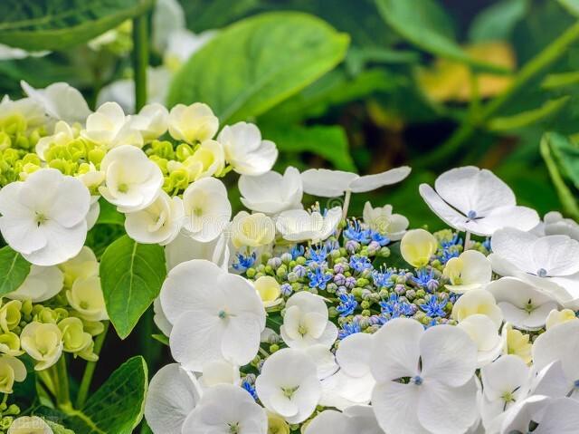 适合深夜读书的时间，一天中四个学习的黄金时间