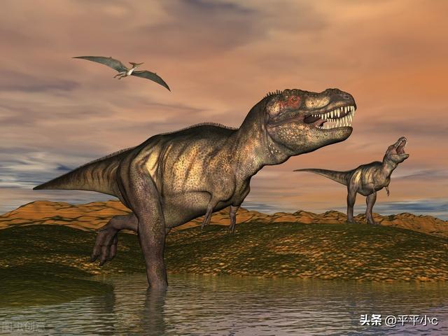 地质年代简表，2020年最新国际年代地层表