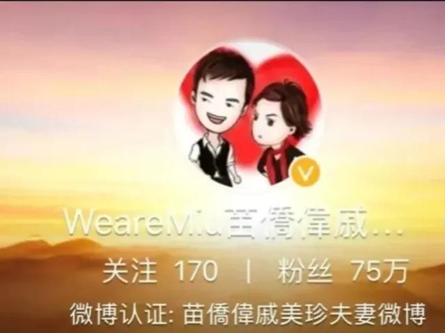 苗侨伟个人资料，苗侨伟个人资料及家庭情况