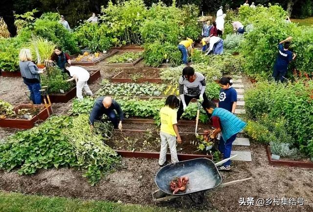 菜园与花园的设计，成就田园生活的食材花园
