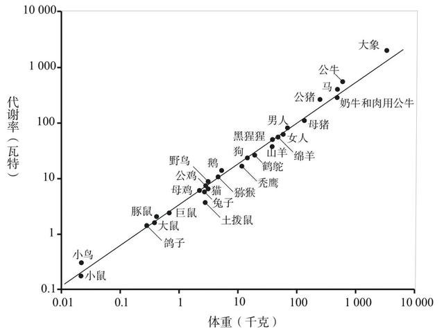 自然科学界三大定律，马克思主义为什么行