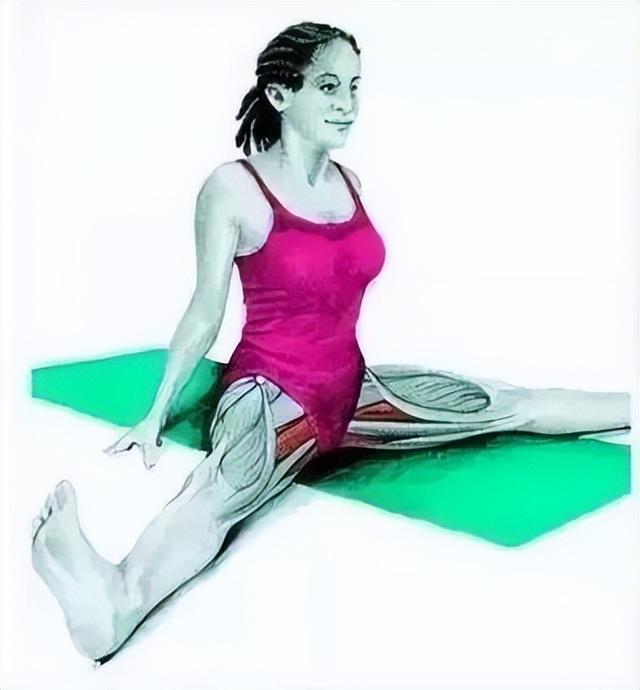 10分钟懒人拉伸训练动作，这6组33个拉伸动作绝了