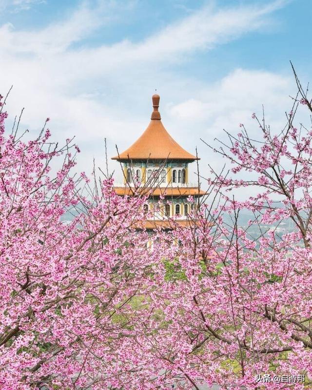 日本赏樱花著名景点，这些赏樱地等你打卡