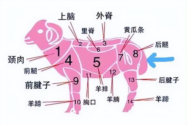 羊尾油有多难吃，羊尾巴油太膻太恶心