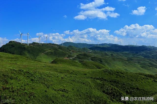 六盘水旅游景点推荐大全，六盘水的这些旅游景点