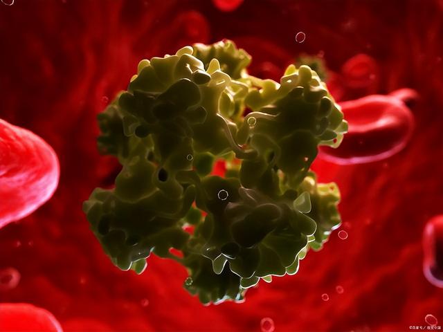 hpv通过什么途径感染，hpv感染的途径有哪些你知道几个（发现 HPV 阳性后该怎么办）
