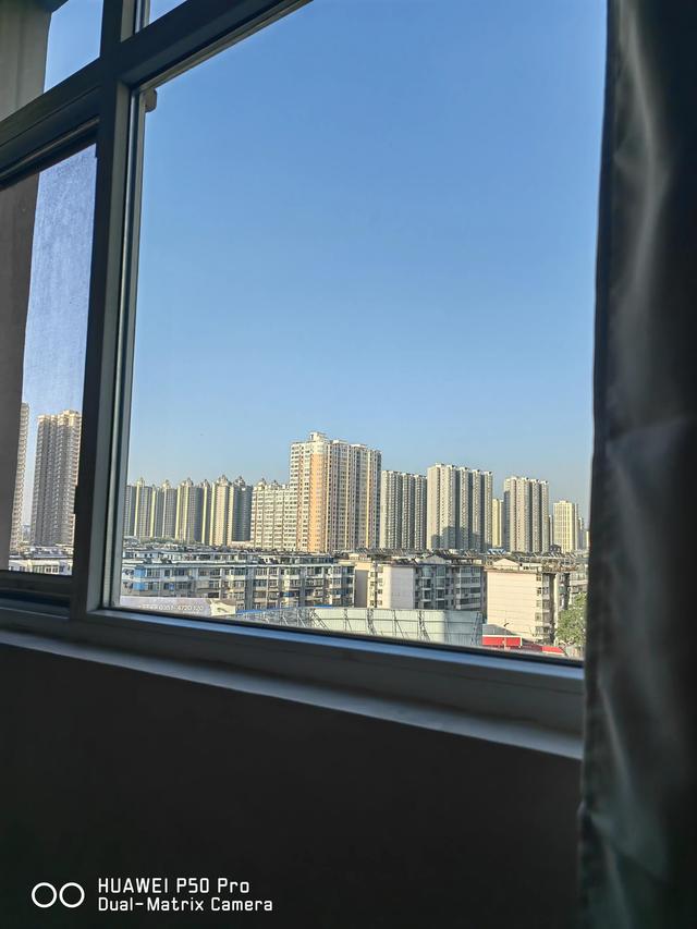 意难平的含义是什么，意难平