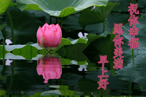 早安问候语每日更新，早上好短句早安问候语每日更新（亲切的暖心问候语）