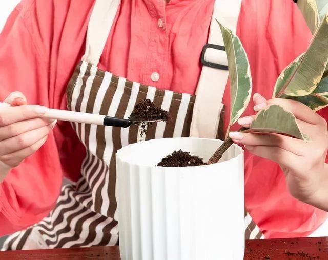 成都周边花海一日游，成都出发1h赏千亩梨花