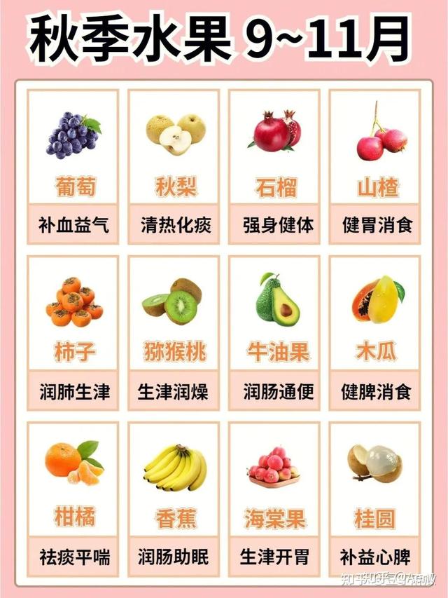 1-12月份应季水果图表，当季水果介绍