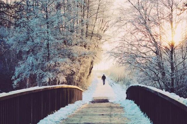 晚来天欲雪下一句，晚来天欲雪（晚来天欲雪能饮一杯无全诗）
