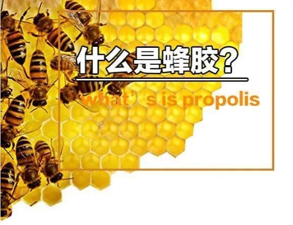 酒制蜂胶能治糖尿病吗(酒制蜂胶适应症)