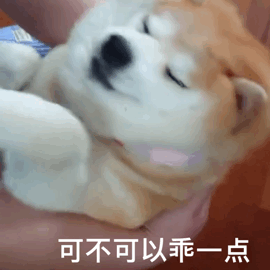 聊天必备小表情包，聊天必备表情包大全