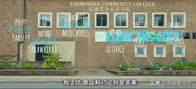 菜园与花园的设计，成就田园生活的食材花园