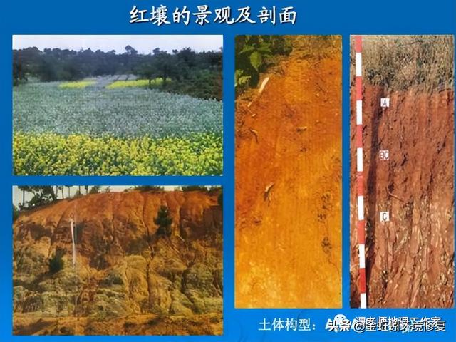 我国的土壤分类有哪些，中国15种主要土壤类型和具体分布地区