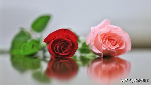 怎么挽回一段感情，怎样正确的挽回一段感情