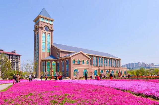 南山旅游攻略必去景点，南山旅游景区花开正好时