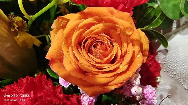 好的养老院有那些，目前有什么好的养老院