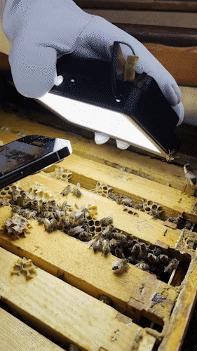 绿色星球有哪些，豆瓣评分9.8的绿色星球