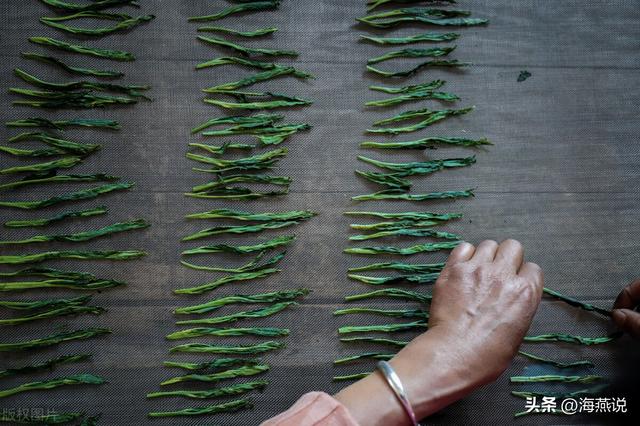 十大名茶安徽几个，享誉全国的安徽四大名茶