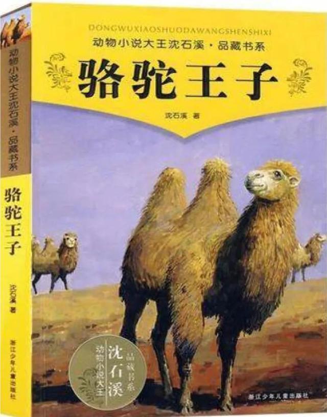 沈石溪的书有哪些，沈石溪最好看的书是什么（认识和热爱神奇的动物王国）