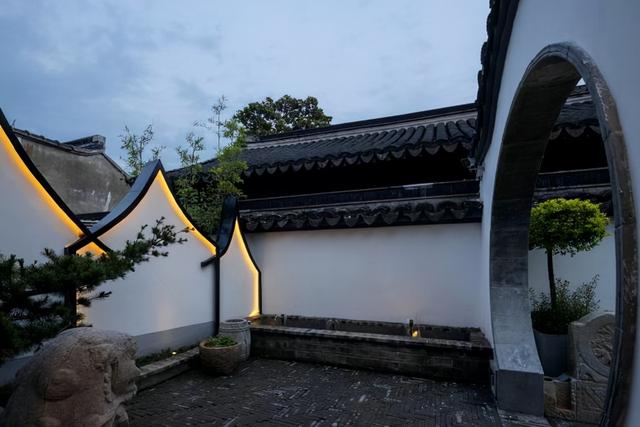 院子里种什么树好，院子里适合栽种的七种树