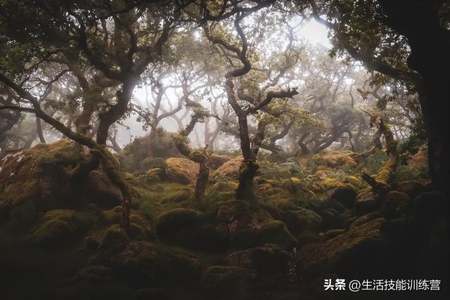 人生艺术照欣赏，浅谈油画超写实人体艺术