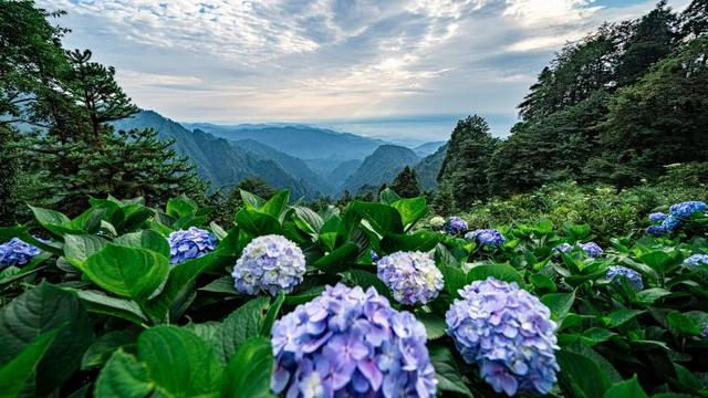 峨眉山游览攻略，峨眉山最全旅游攻略（来了就被它征服）