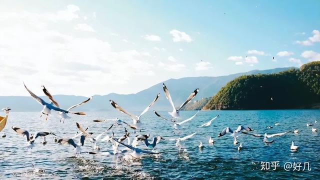 丽江古城旅游费用，丽江旅游自由行攻略及花费（想去丽江旅游的大哥们记下来,4-6月,1499玩到尽致）