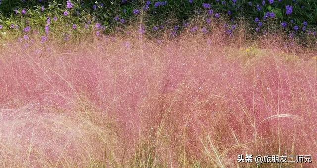 佛山自由行三日游攻略，游玩住宿攻略看这篇就够了