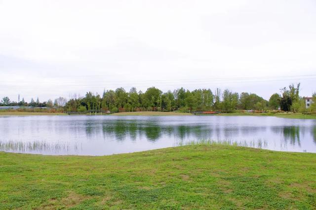 9月成都周边最适合露营，不出成都市区打卡9大露营野餐拍照地