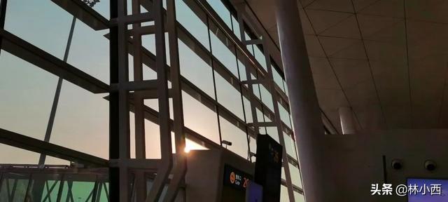 澳门自由行攻略，澳门旅游七天自由行攻略